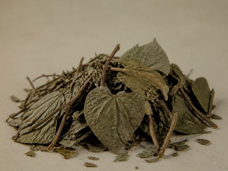 Dried Betel Leaf — Daun sirih kering