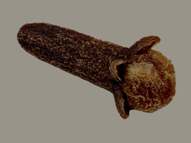 Cloves — Cengkeh