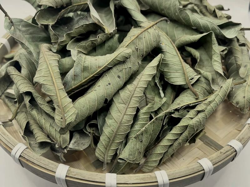 Dried Guava Leaf — Daun jambu biji kering