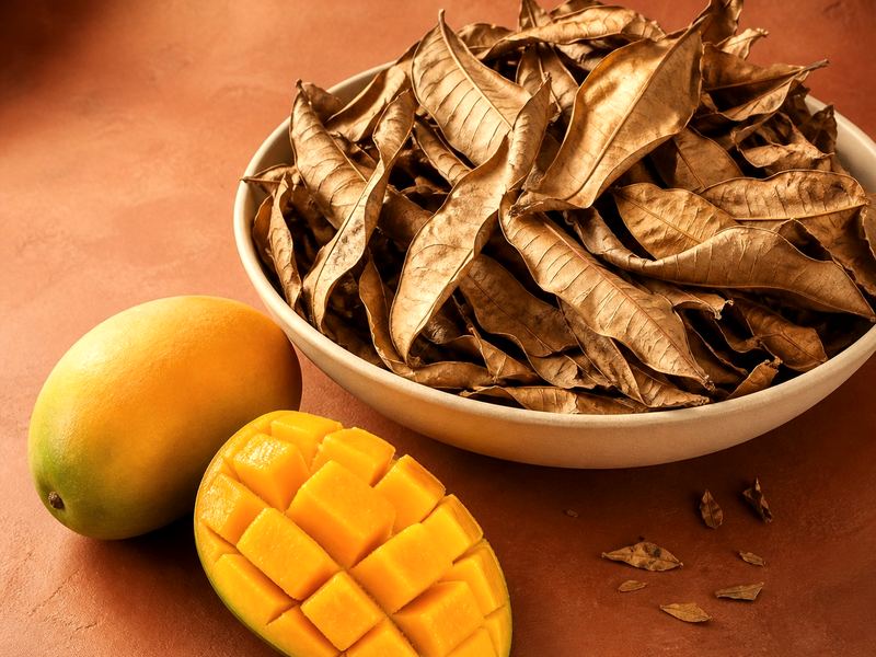 Dried Mango Leaf — Daun mangga kering