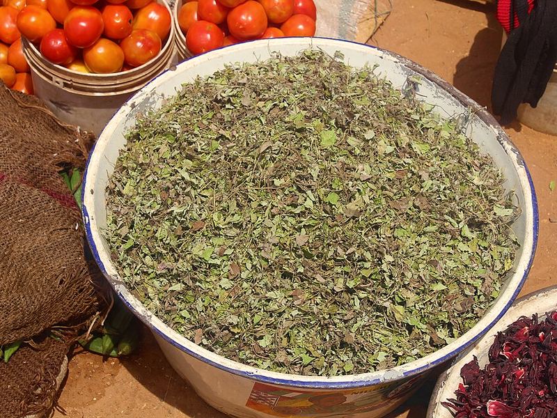 Moringa Leaf — Daun kelor kering