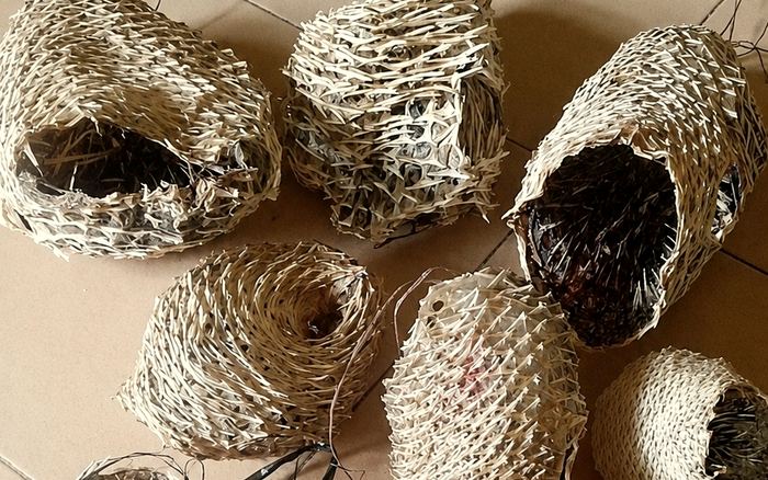 Dried Pufferfish Skin — Kulit Ikan Buntal Kering